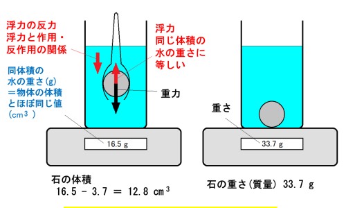 北五加皮的功效与作用及禁忌-北五加皮的功效与作用网—知名的北五加皮的功效与作用网站,分享北五加皮的功效与作用知识
